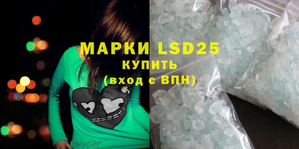 стафф Елизово