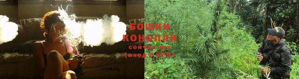 стаф Ельня