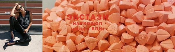 стаф Ельня