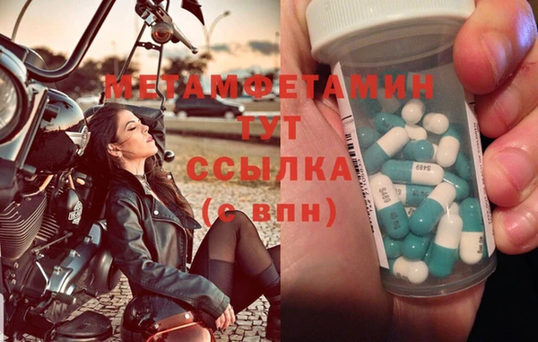 стаф Ельня