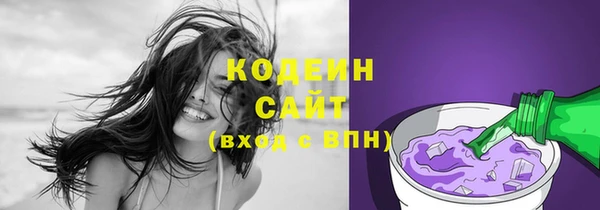 стафф Елизово
