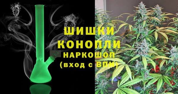 стаф Ельня
