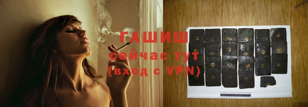 стаф Ельня