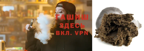 стаф Ельня