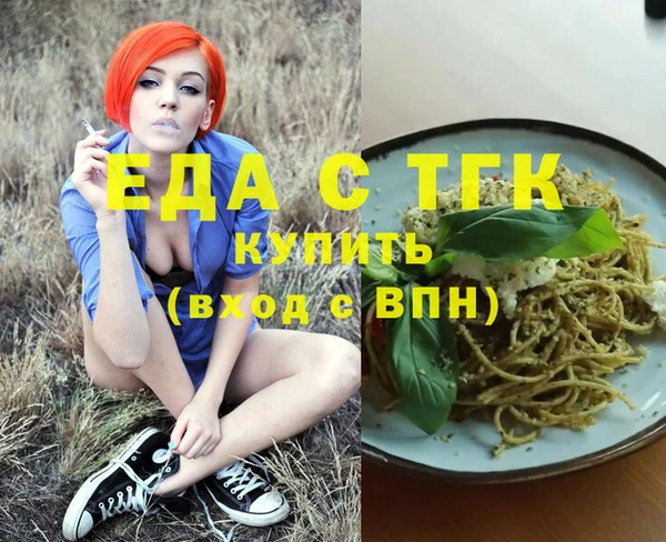 стаф Ельня