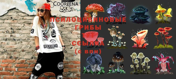 стафф Елизово