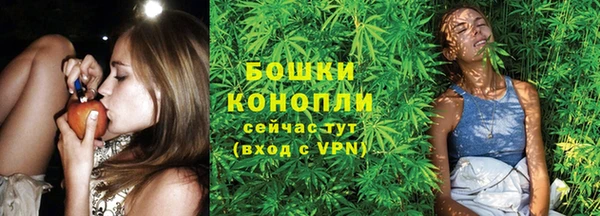 стафф Елизово