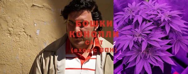стафф Елизово