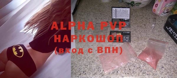 стаф Ельня